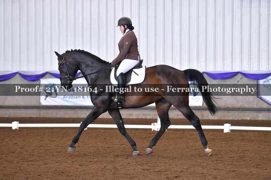 Proof 21YN_18164