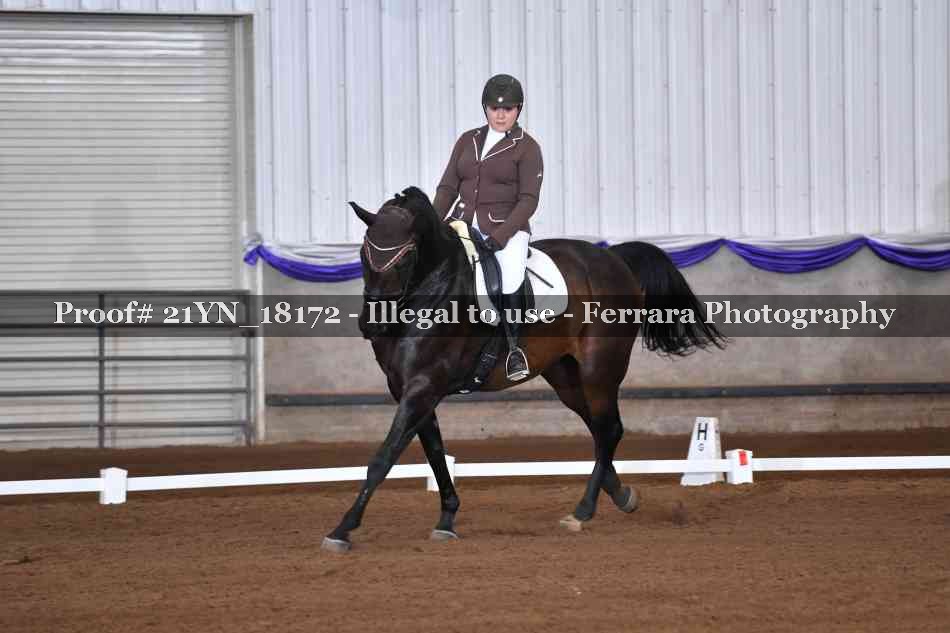 Proof 21YN_18172