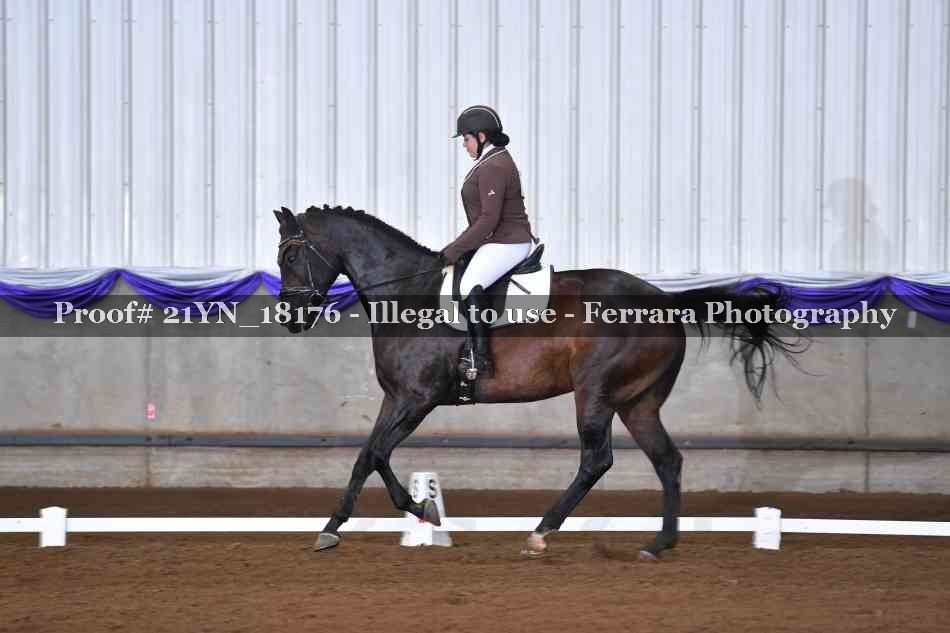 Proof 21YN_18176