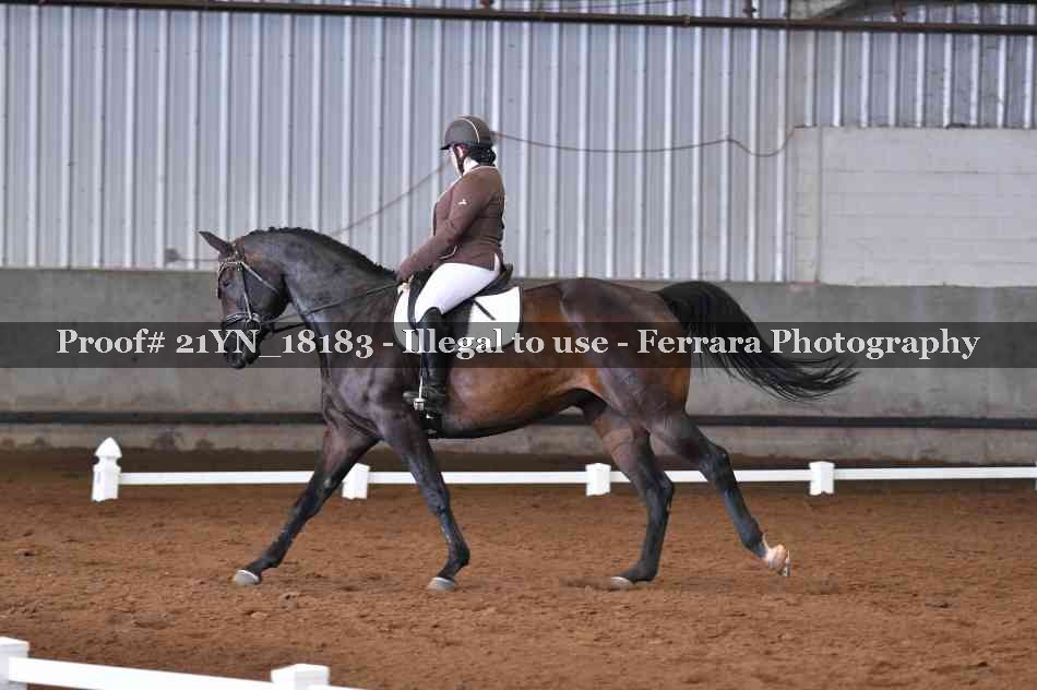 Proof 21YN_18183