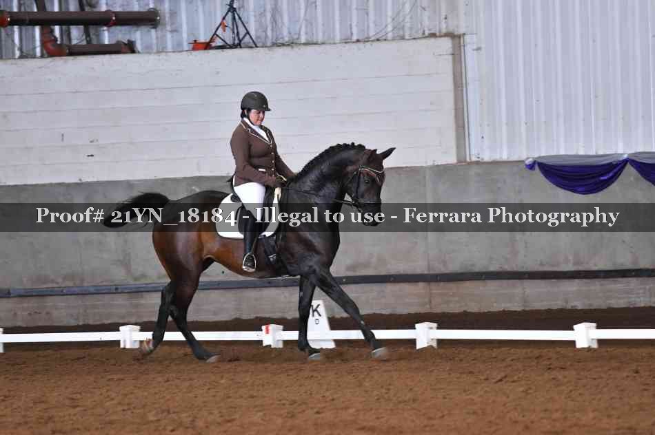Proof 21YN_18184
