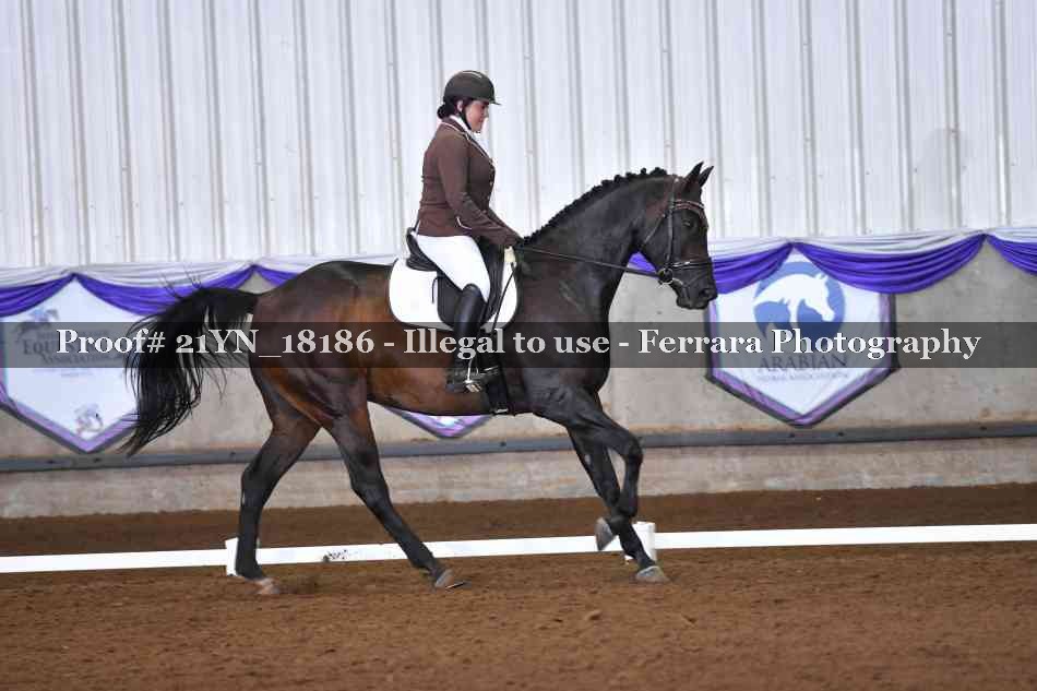 Proof 21YN_18186