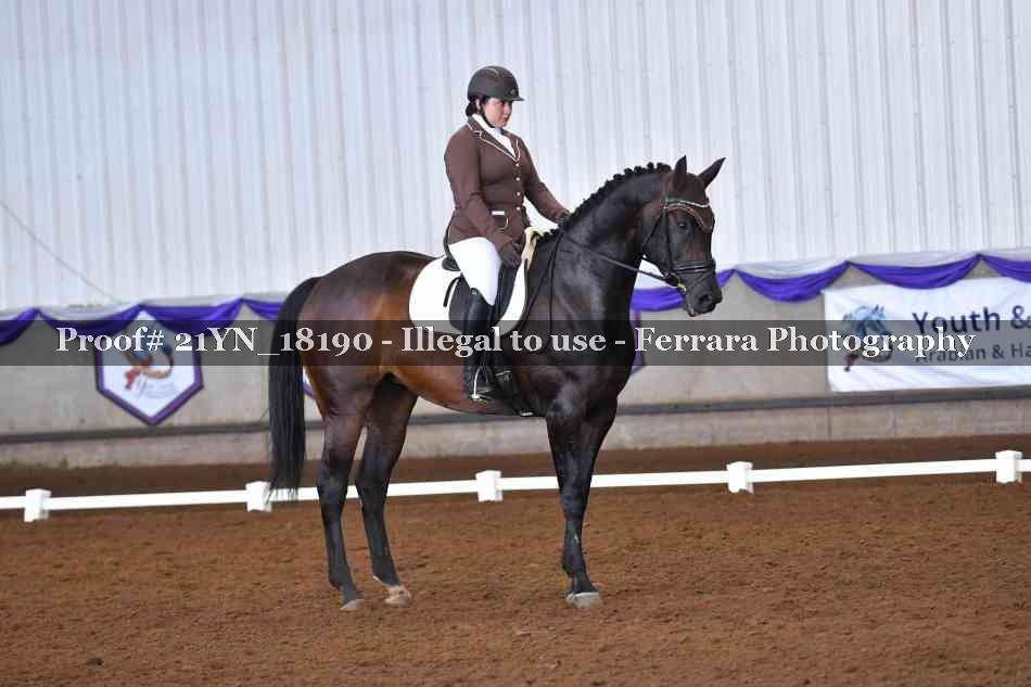 Proof 21YN_18190