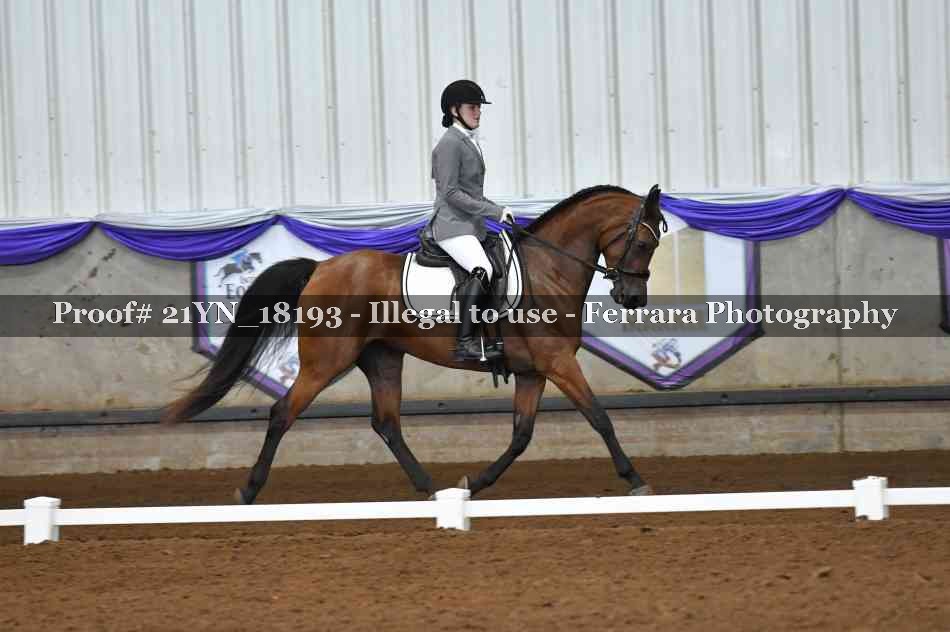 Proof 21YN_18193