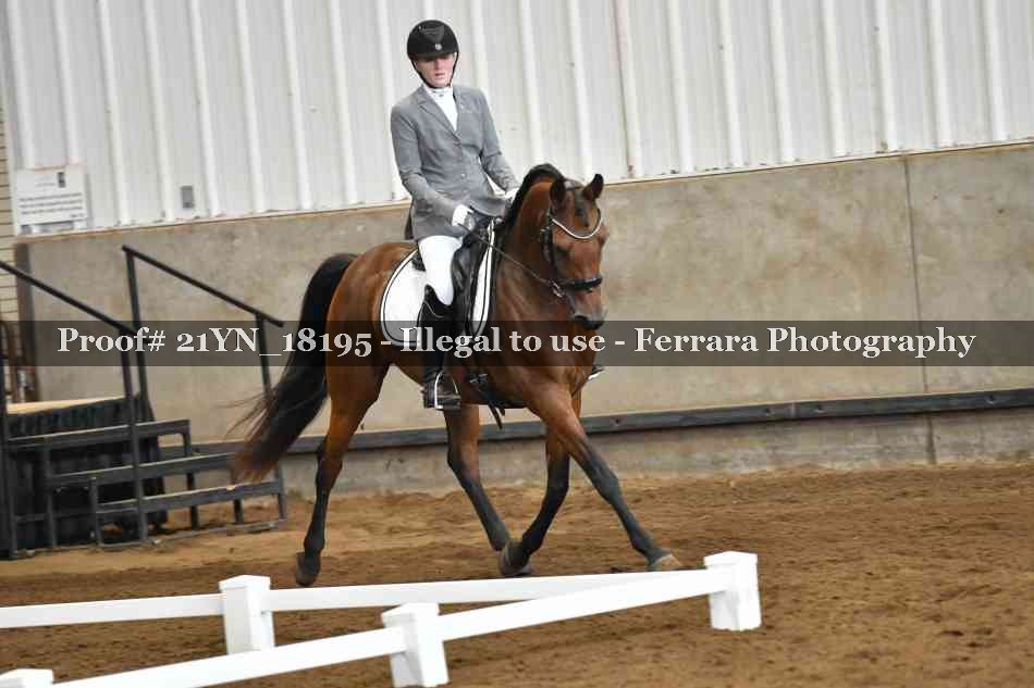 Proof 21YN_18195