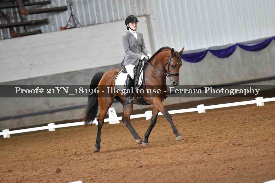 Proof 21YN_18196