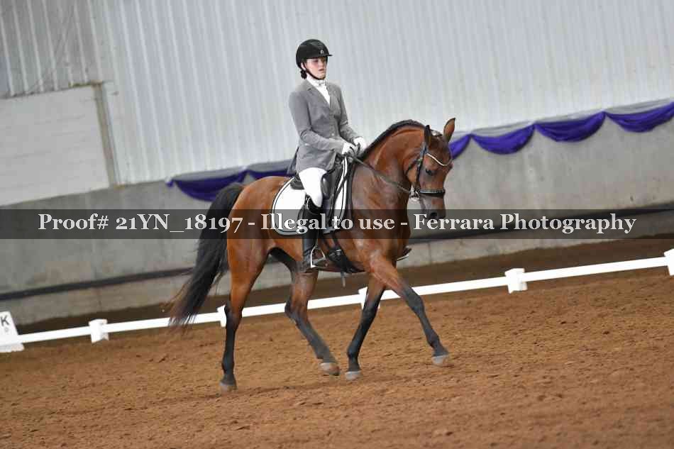 Proof 21YN_18197