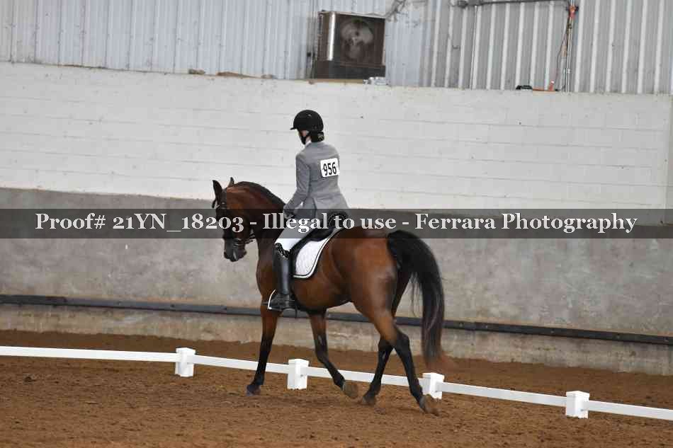 Proof 21YN_18203