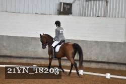 21YN_18203 proof