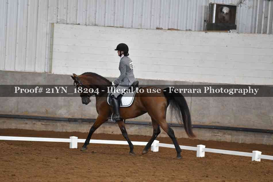 Proof 21YN_18204