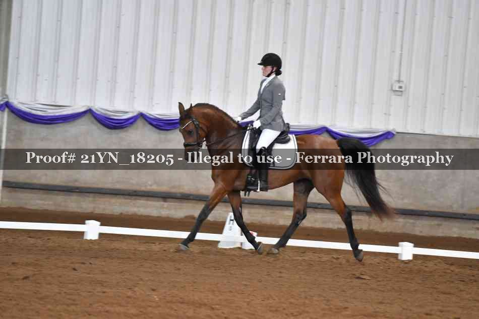 Proof 21YN_18205