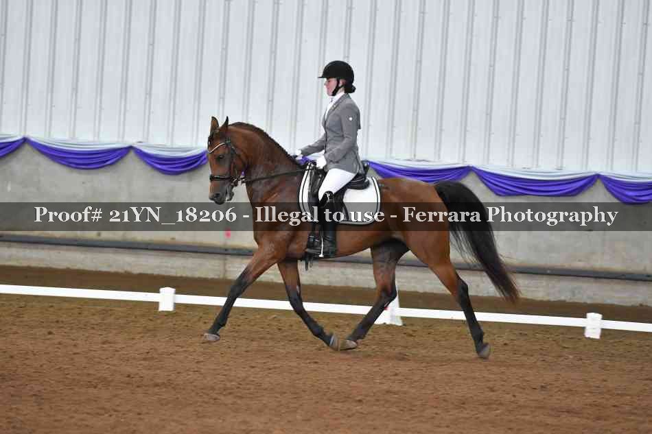 Proof 21YN_18206