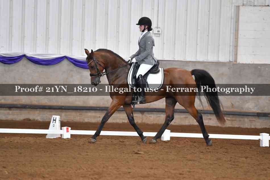 Proof 21YN_18210