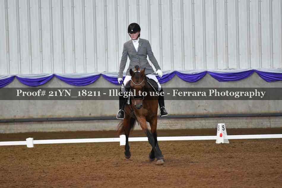 Proof 21YN_18211