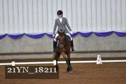 21YN_18211 proof