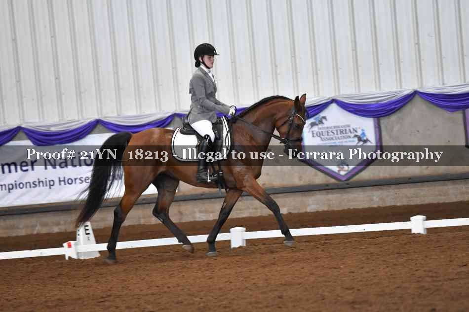 Proof 21YN_18213