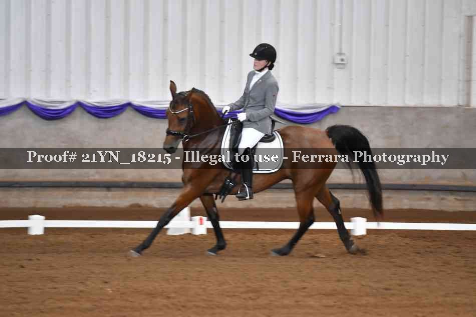 Proof 21YN_18215