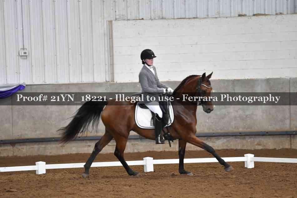 Proof 21YN_18221