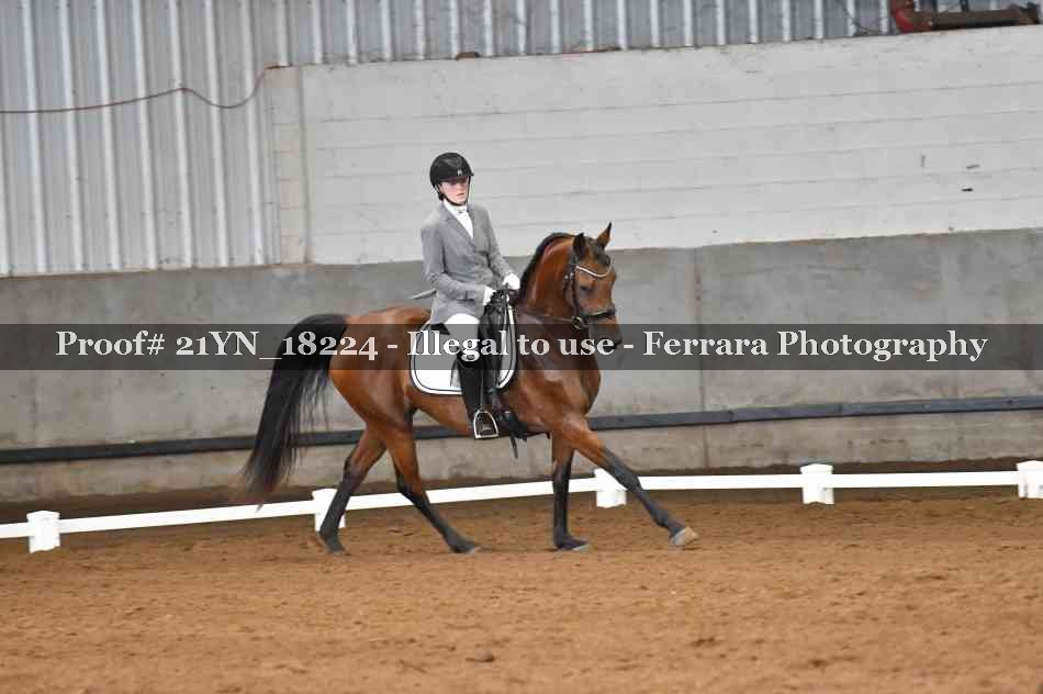 Proof 21YN_18224