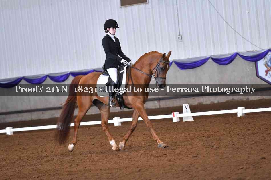 Proof 21YN_18231