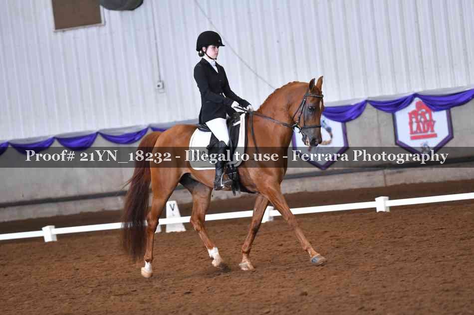 Proof 21YN_18232
