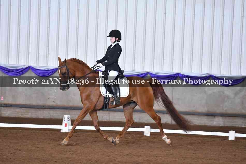 Proof 21YN_18236