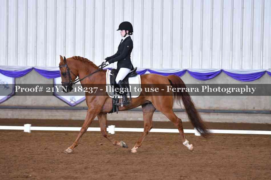 Proof 21YN_18237
