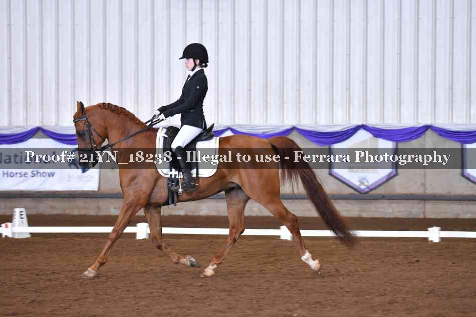 Proof 21YN_18238