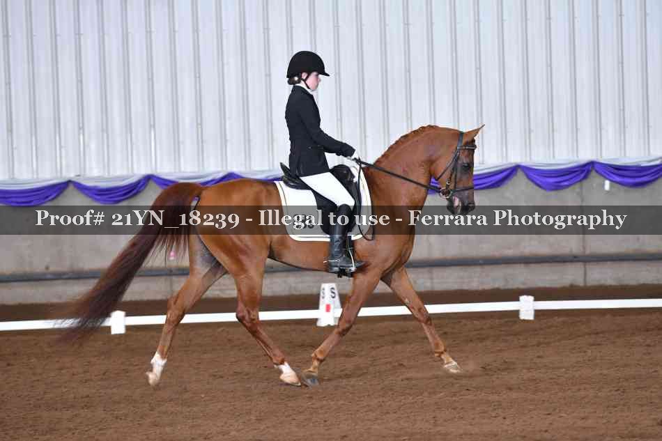 Proof 21YN_18239