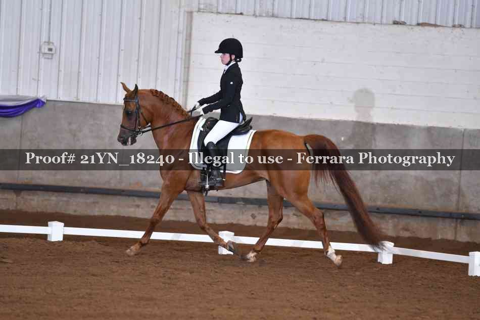 Proof 21YN_18240