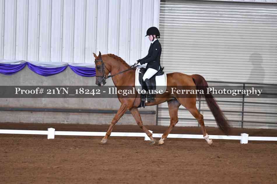 Proof 21YN_18242