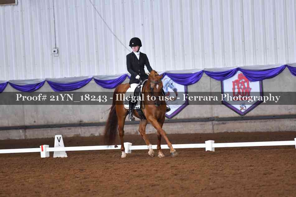 Proof 21YN_18243