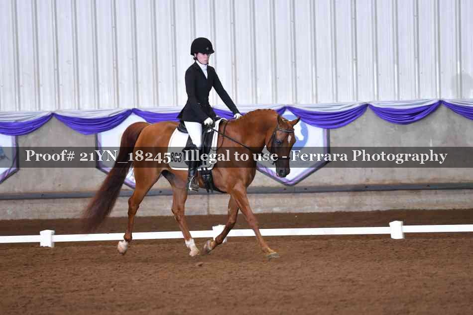 Proof 21YN_18245