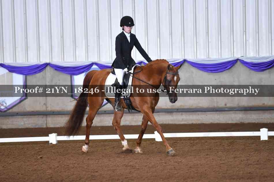 Proof 21YN_18246
