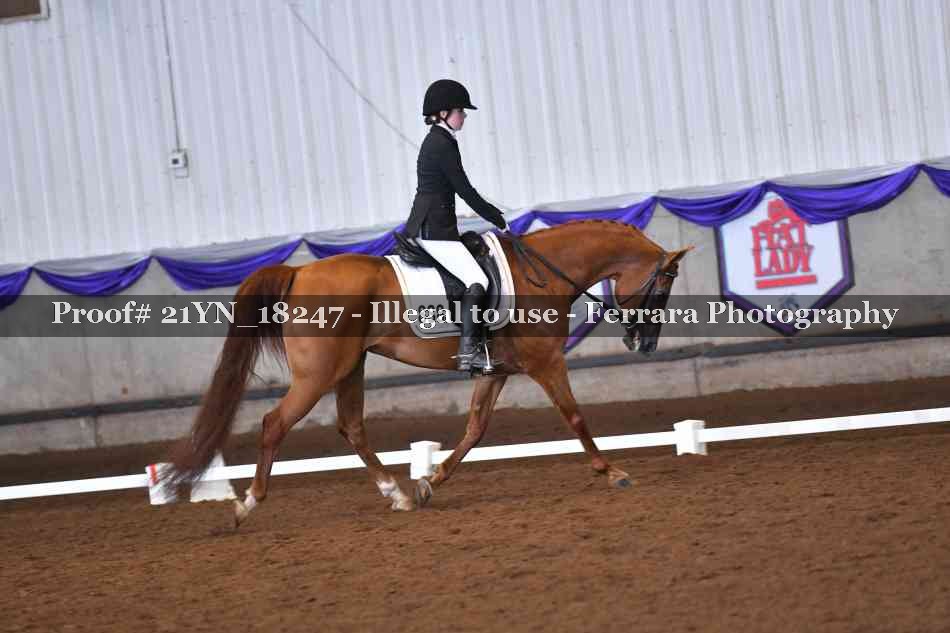 Proof 21YN_18247