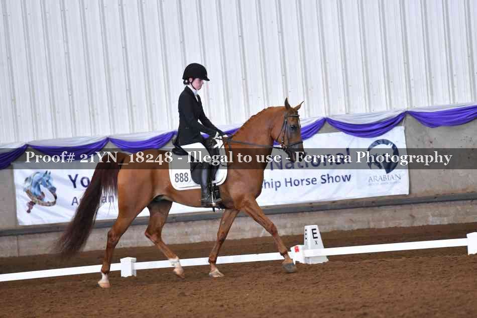 Proof 21YN_18248