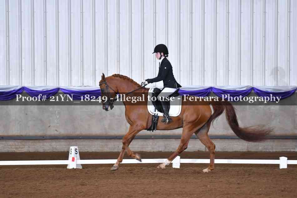Proof 21YN_18249
