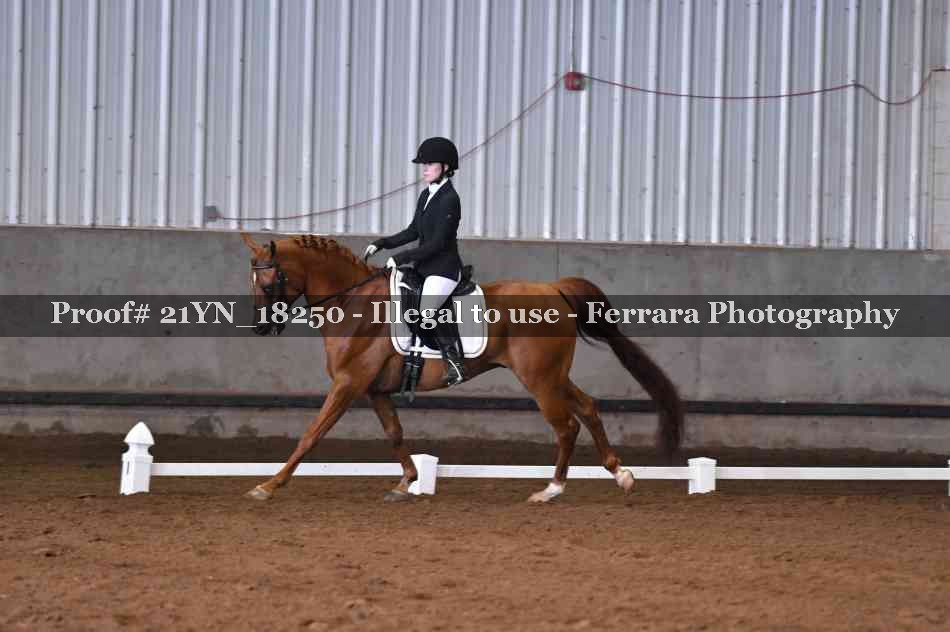 Proof 21YN_18250