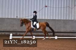 21YN_18250 proof