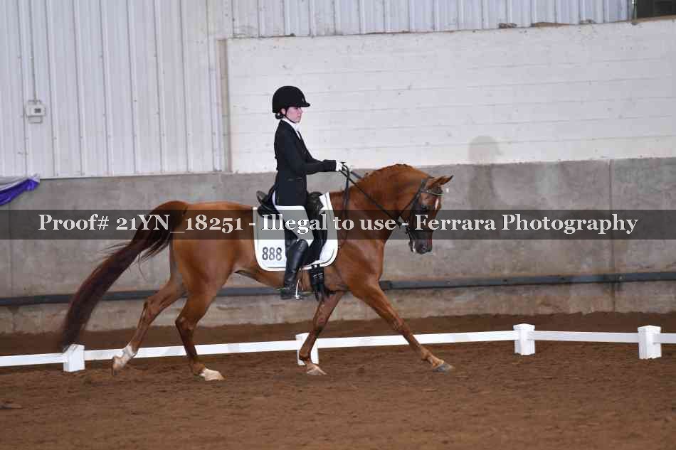 Proof 21YN_18251