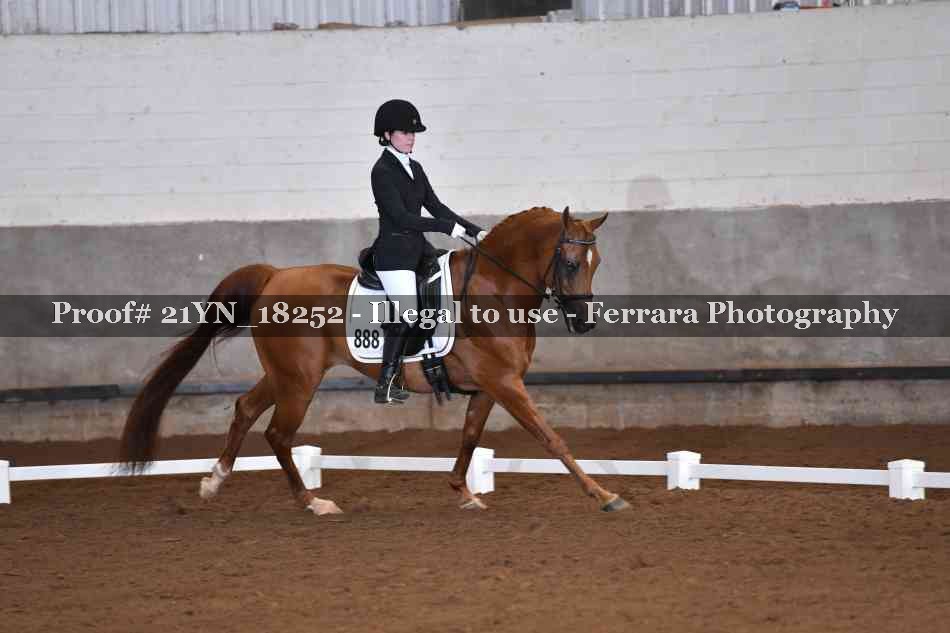 Proof 21YN_18252