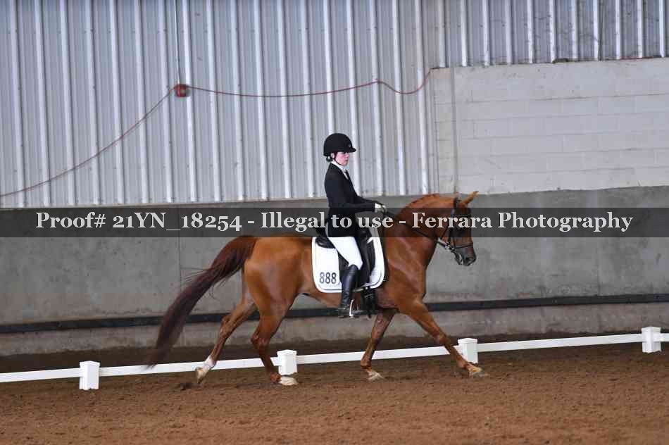 Proof 21YN_18254