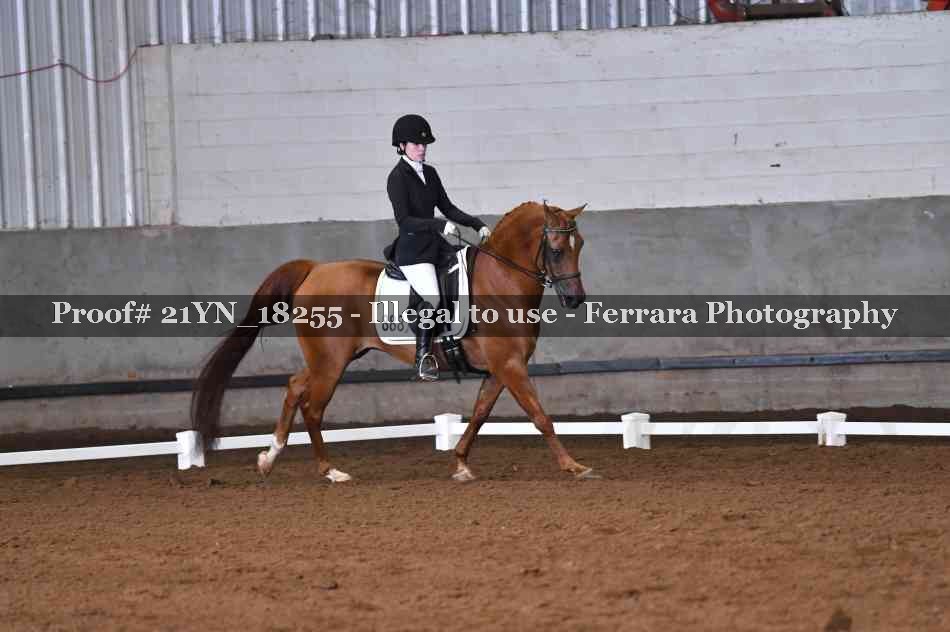 Proof 21YN_18255
