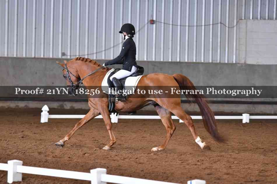 Proof 21YN_18256