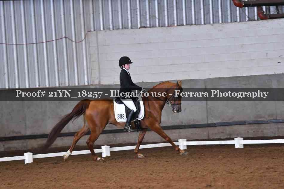 Proof 21YN_18257