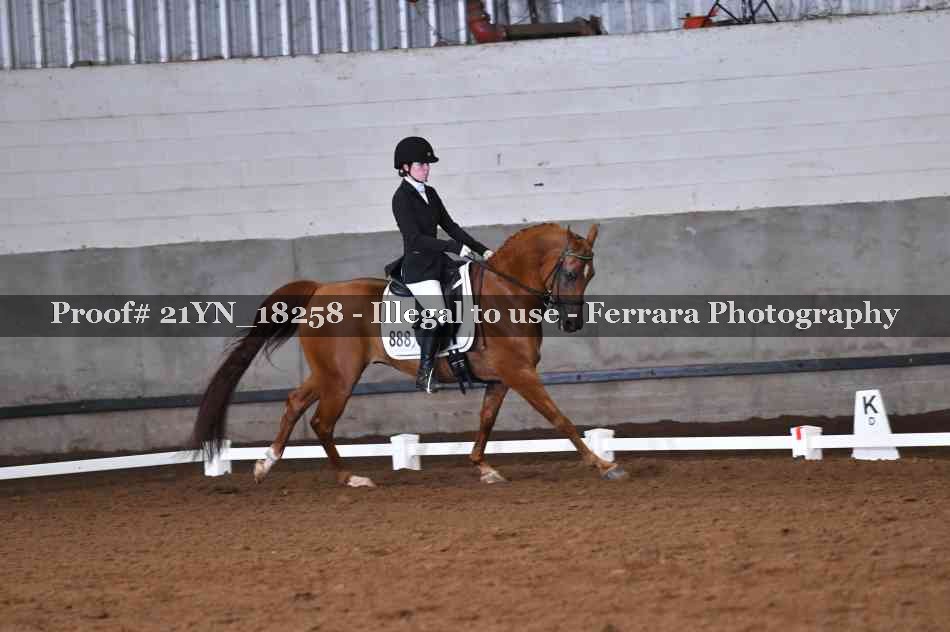 Proof 21YN_18258