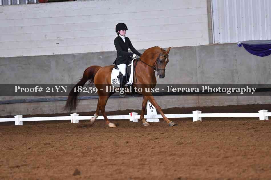 Proof 21YN_18259