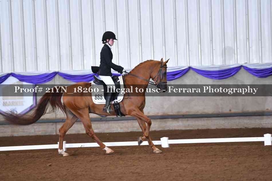 Proof 21YN_18260