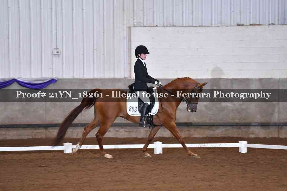 Proof 21YN_18261