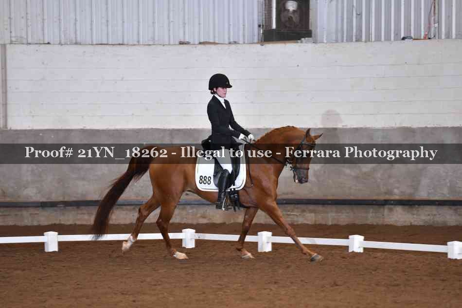 Proof 21YN_18262